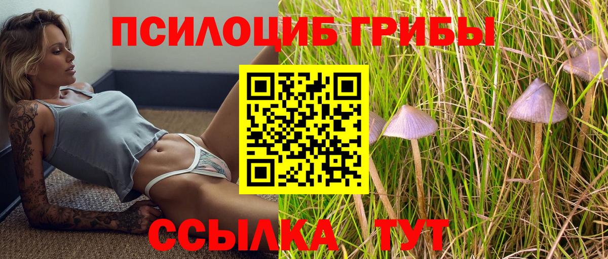 Галлюциногенные грибы мицелий Киселёвск
