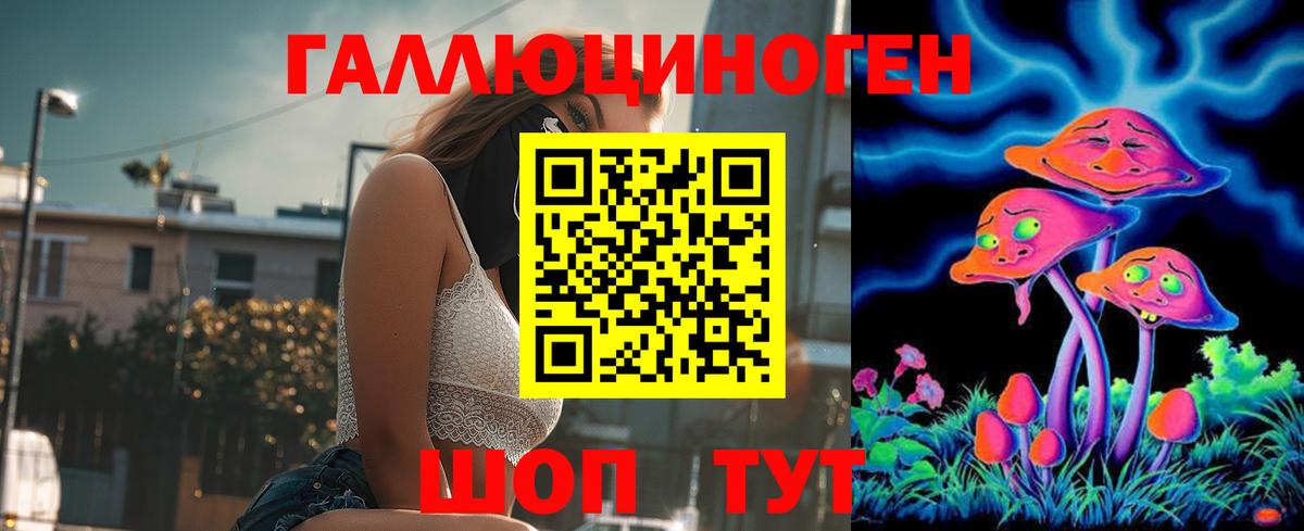 Киселёвск  Галлюциногенные грибы MAGIC MUSHROOMS  Вход с VPN  Галлюциногенные грибы мицелий 